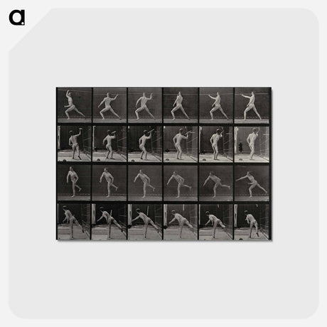 アートポストカード-Javelin Thrower
 - エドワード マイブリッジ Postcard.