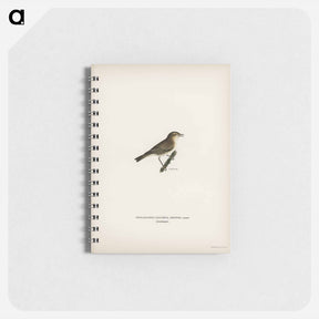アートメモ帳-Common Chiffchaff
 - スヴェンスカ フォグラル Memo.