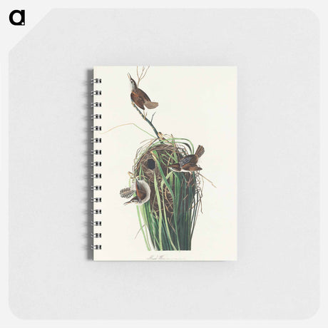 アートメモ帳-Marsh Wren from Birds of America
 - アメリカの鳥たち Memo.