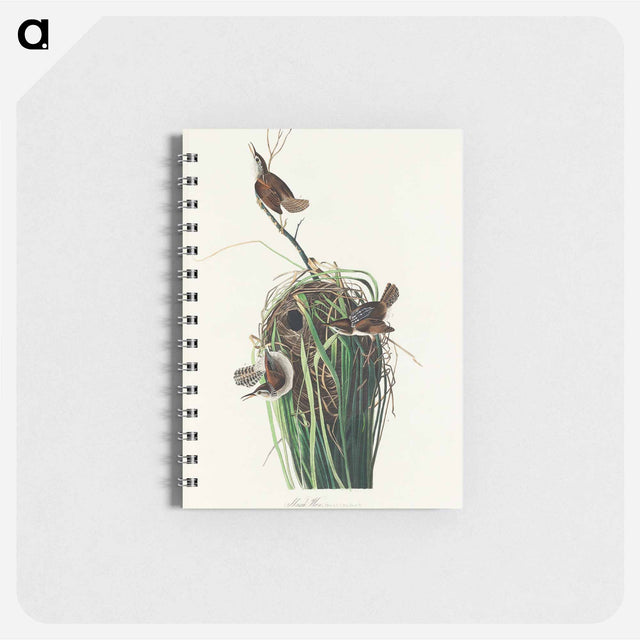 アートメモ帳-Marsh Wren from Birds of America
 - アメリカの鳥たち Memo.