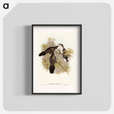 アートポスター-Chestnut-crowned Pomatorhinus
 - オーストラリアの鳥 Poster.