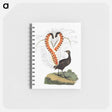 アートメモ帳-Lyrebird from An Account of the English Colony in New South Wales
 - 大英図書館 Memo.