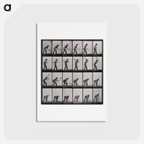 アートポストカード-Man with Pickaxe
 - エドワード マイブリッジ Postcard.