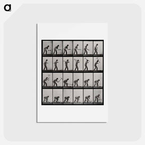 アートポストカード-Man with Pickaxe
 - エドワード マイブリッジ Postcard.
