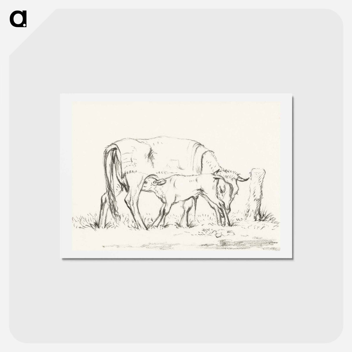 アートポストカード-Calf drinking with his mother - ジャン ベルナール Postcard.