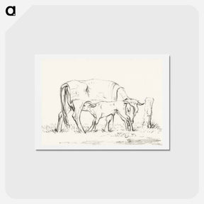 アートポストカード-Calf drinking with his mother - ジャン ベルナール Postcard.