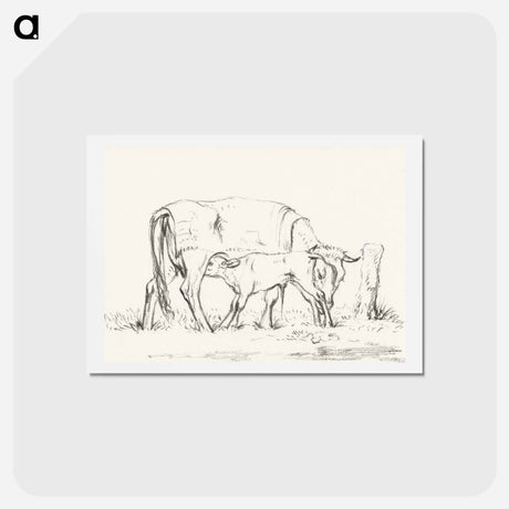 アートポストカード-Calf drinking with his mother - ジャン ベルナール Postcard.