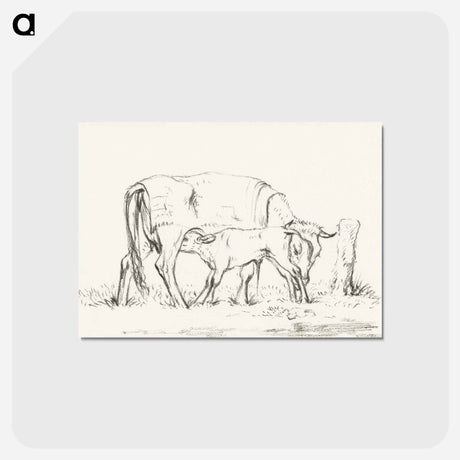 アートポストカード-Calf drinking with his mother - ジャン ベルナール Postcard.