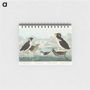 アートメモ帳-Birds of America
 - ジョン ジェームス オーデュボン Memo.