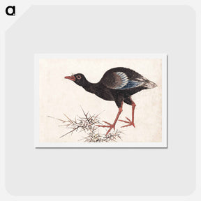 アートポストカード-Katsushika Hokusai's bird - 葛飾 北斎 Postcard.