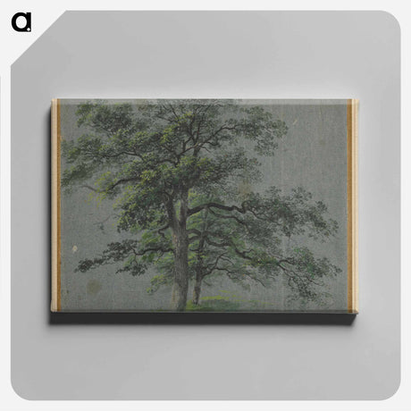 アートパネル-Tree
 - クリーブランド美術館 Canvas.