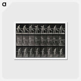 アートポストカード-Carpenter Sawing
 - エドワード マイブリッジ Postcard.