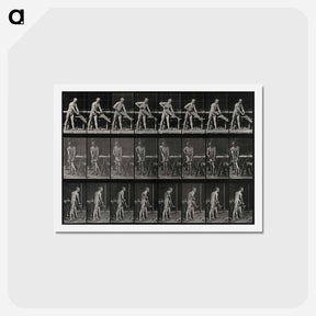アートポストカード-Carpenter Sawing
 - エドワード マイブリッジ Postcard.