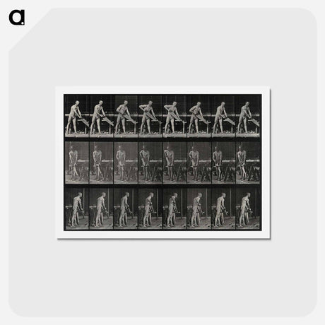 アートポストカード-Carpenter Sawing
 - エドワード マイブリッジ Postcard.