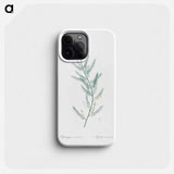 Asparagus sarmentosus illustration - ピエール ジョゼフ ルドゥーテ Phone Case.