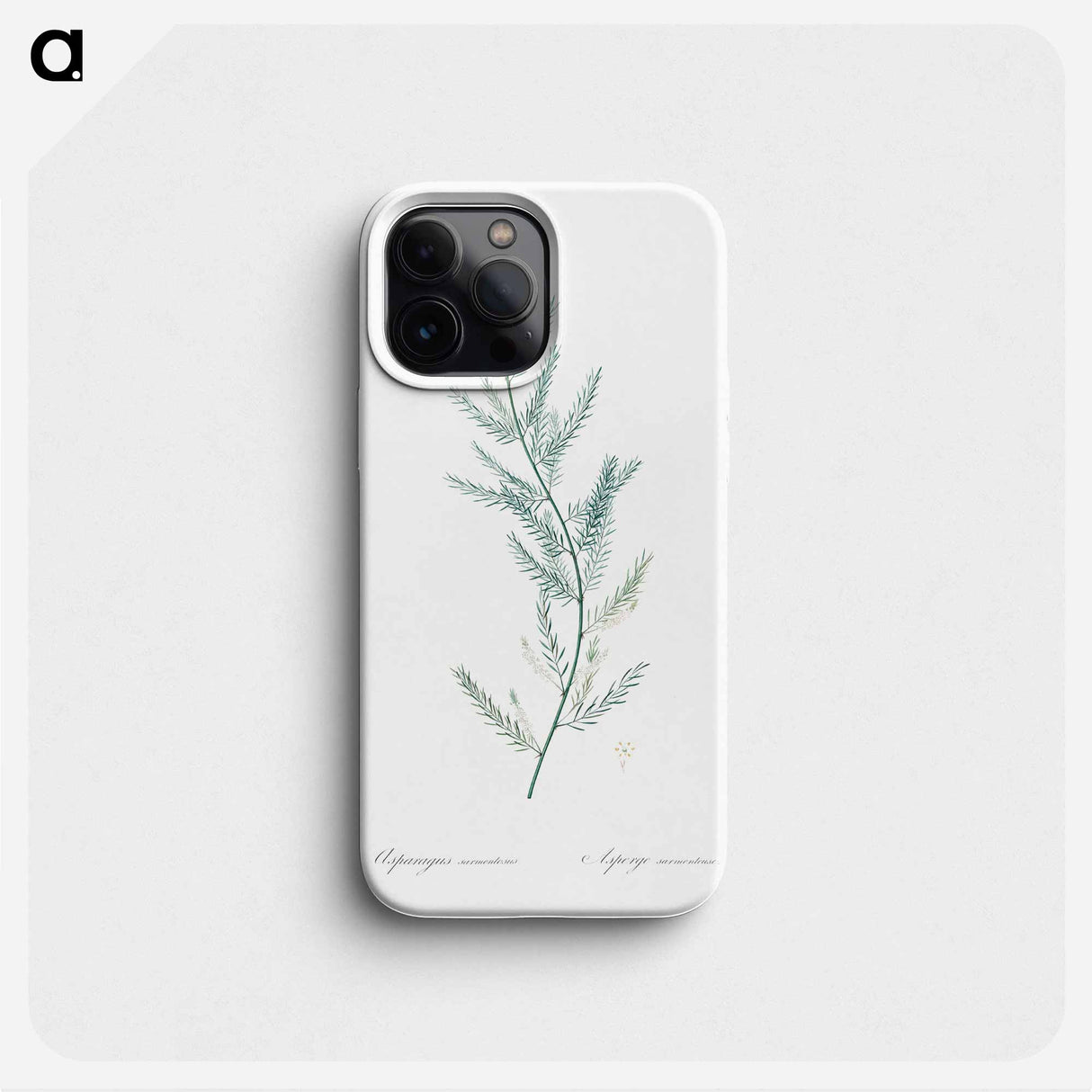 Asparagus sarmentosus illustration - Pierre Joseph Redouté Phone Case.