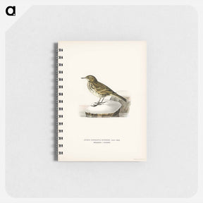 アートメモ帳-Water Pipit
 - スヴェンスカ フォグラル Memo.