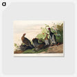 アートポストカード-Spotted Grouse from Birds of America
 - アメリカの鳥たち Postcard.
