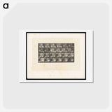 アートポストカード-Cocks Fighting
 - エドワード マイブリッジ Postcard.