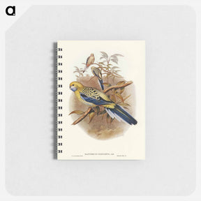 アートメモ帳-Blue-cheeked Parakeet
 - ジョン グールド Memo.