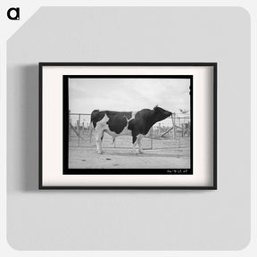 アートポスター-Casa Grande Herd Bull
 - ラッセル リー Poster.