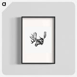 アートポスター-Moose From The Sportsman and Naturalist in Canada
 - 大英図書館 Poster.