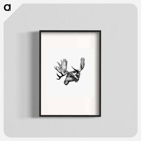 アートポスター-Moose From The Sportsman and Naturalist in Canada
 - 大英図書館 Poster.