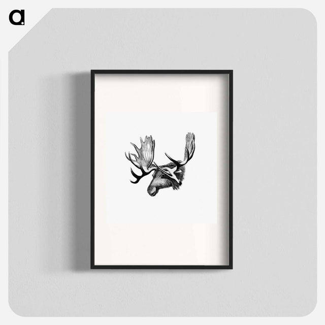 アートポスター-Moose From The Sportsman and Naturalist in Canada
 - 大英図書館 Poster.