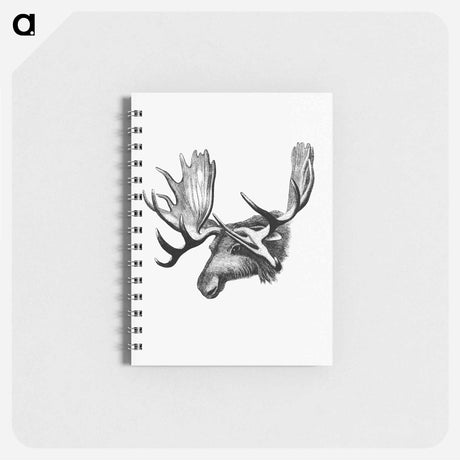 アートメモ帳-Moose From The Sportsman and Naturalist in Canada
 - 大英図書館 Memo.