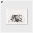 アートポストカード-Lying cow - ジャン ベルナール Postcard.
