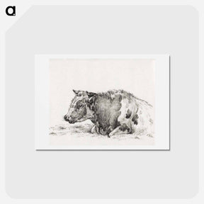 アートポストカード-Lying cow - ジャン ベルナール Postcard.