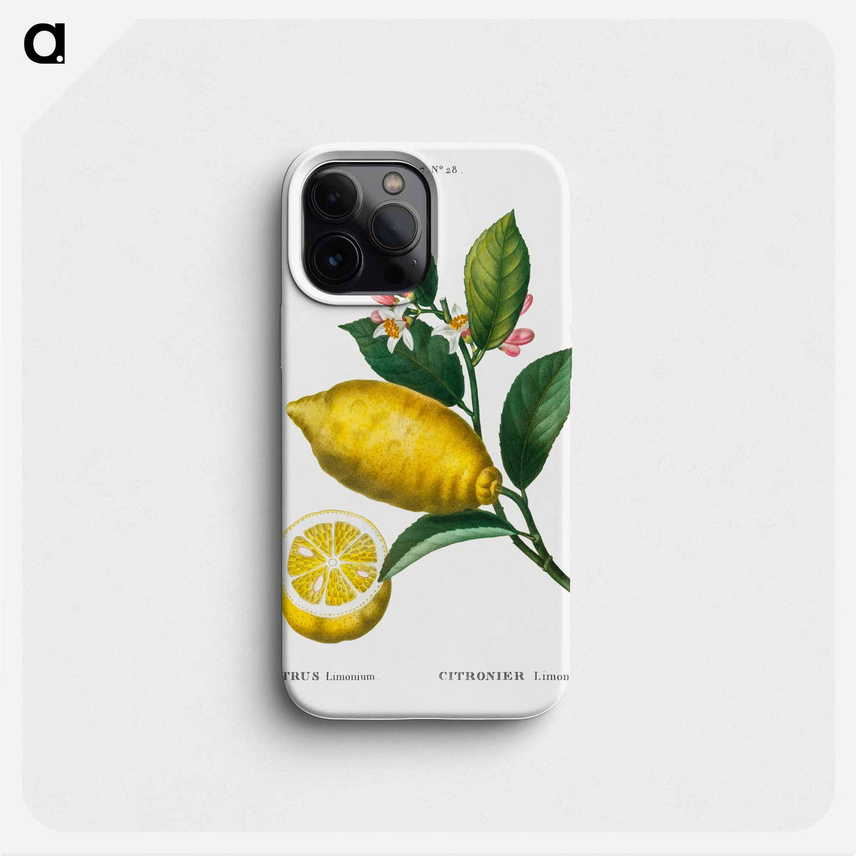 Traité des Arbres et Arbustes que l’on cultive en France en pleine terre - ピエール ジョゼフ ルドゥーテ Phone Case.