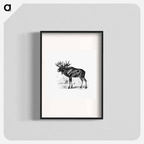 アートポスター-Scandinavian Elk
 - 大英図書館 Poster.