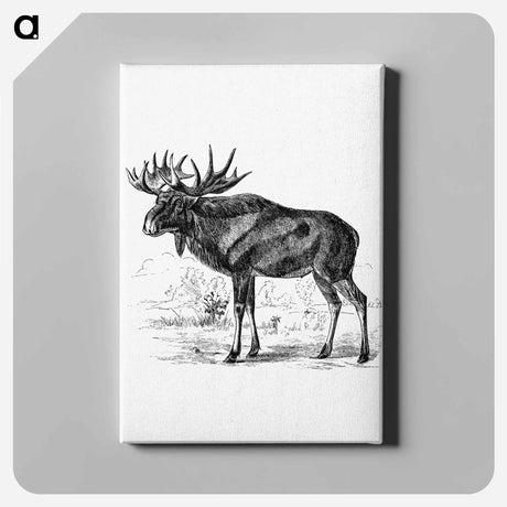 アートパネル-Scandinavian Elk
 - 大英図書館 Canvas.