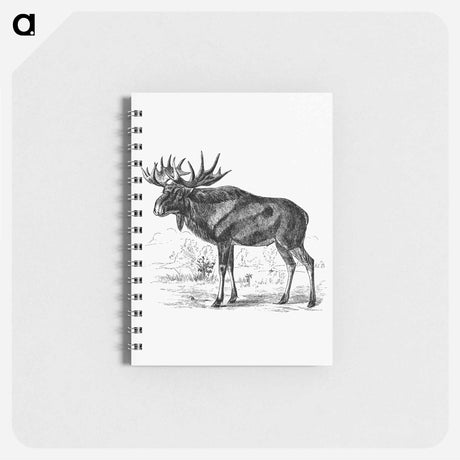 アートメモ帳-Scandinavian Elk
 - 大英図書館 Memo.