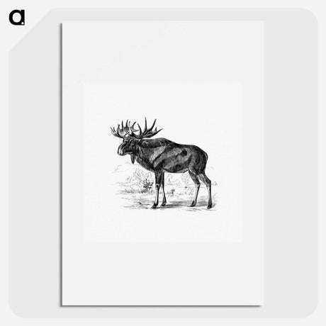 アートポスター-Scandinavian Elk
 - 大英図書館 Poster.