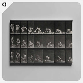 アートパネル-Lying Woman: Three Angles
 - エドワード マイブリッジ Canvas.