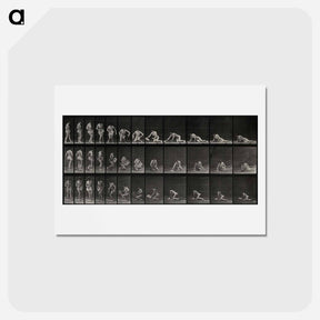 アートポストカード-Lying Woman: Three Angles
 - エドワード マイブリッジ Postcard.