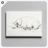 アートパネル-Lying sheep - ジャン ベルナール Canvas.