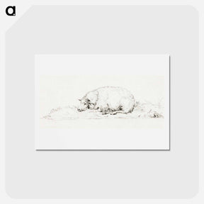 アートポストカード-Lying sheep - ジャン ベルナール Postcard.