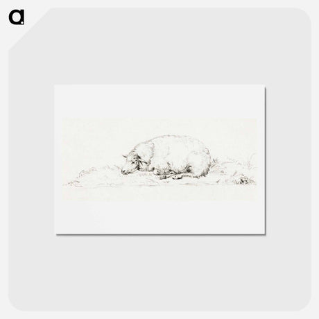 アートポストカード-Lying sheep - ジャン ベルナール Postcard.
