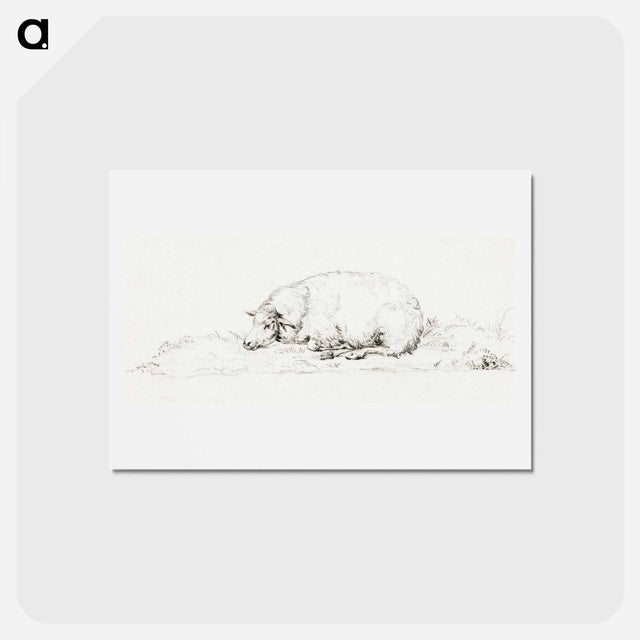 アートポストカード-Lying sheep - ジャン ベルナール Postcard.