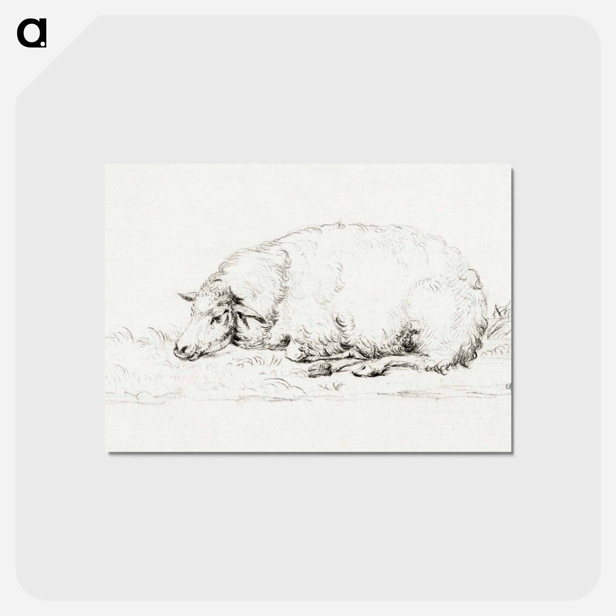 アートポストカード-Lying sheep - ジャン ベルナール Postcard.