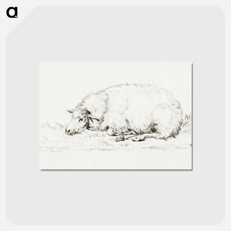 アートポストカード-Lying sheep - ジャン ベルナール Postcard.