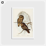 アートポストカード-Spotted Owl
 - ジョン グールド Postcard.
