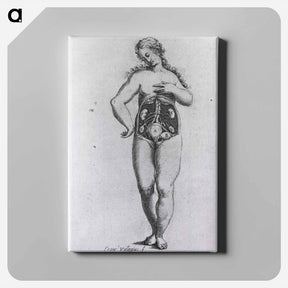 アートパネル-Nude Female Figure with Anatomical View of Urogenital System
 - 国立医学図書館 Canvas.