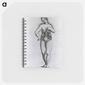 アートメモ帳-Nude Female Figure with Anatomical View of Urogenital System
 - 国立医学図書館 Memo.