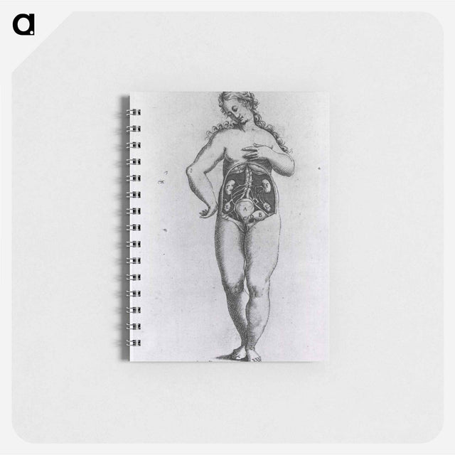 アートメモ帳-Nude Female Figure with Anatomical View of Urogenital System
 - 国立医学図書館 Memo.