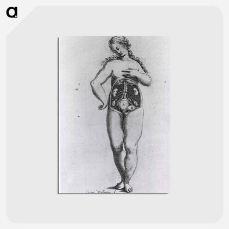 アートポストカード-Nude Female Figure with Anatomical View of Urogenital System
 - 国立医学図書館 Postcard.
