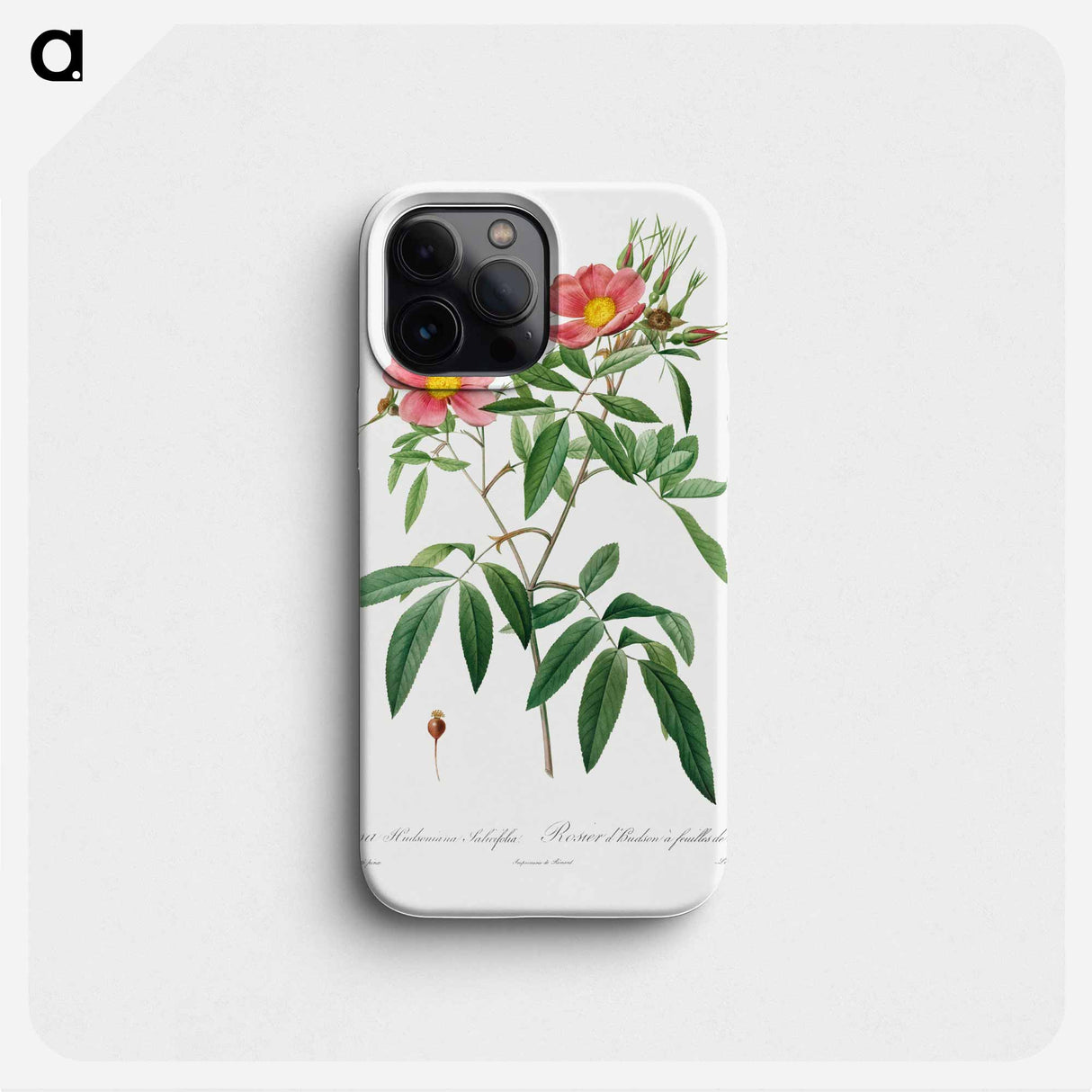 Rosa Hudsoniana Salicifolia - ピエール ジョゼフ ルドゥーテ Phone Case.